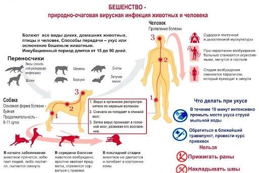 Изображения.