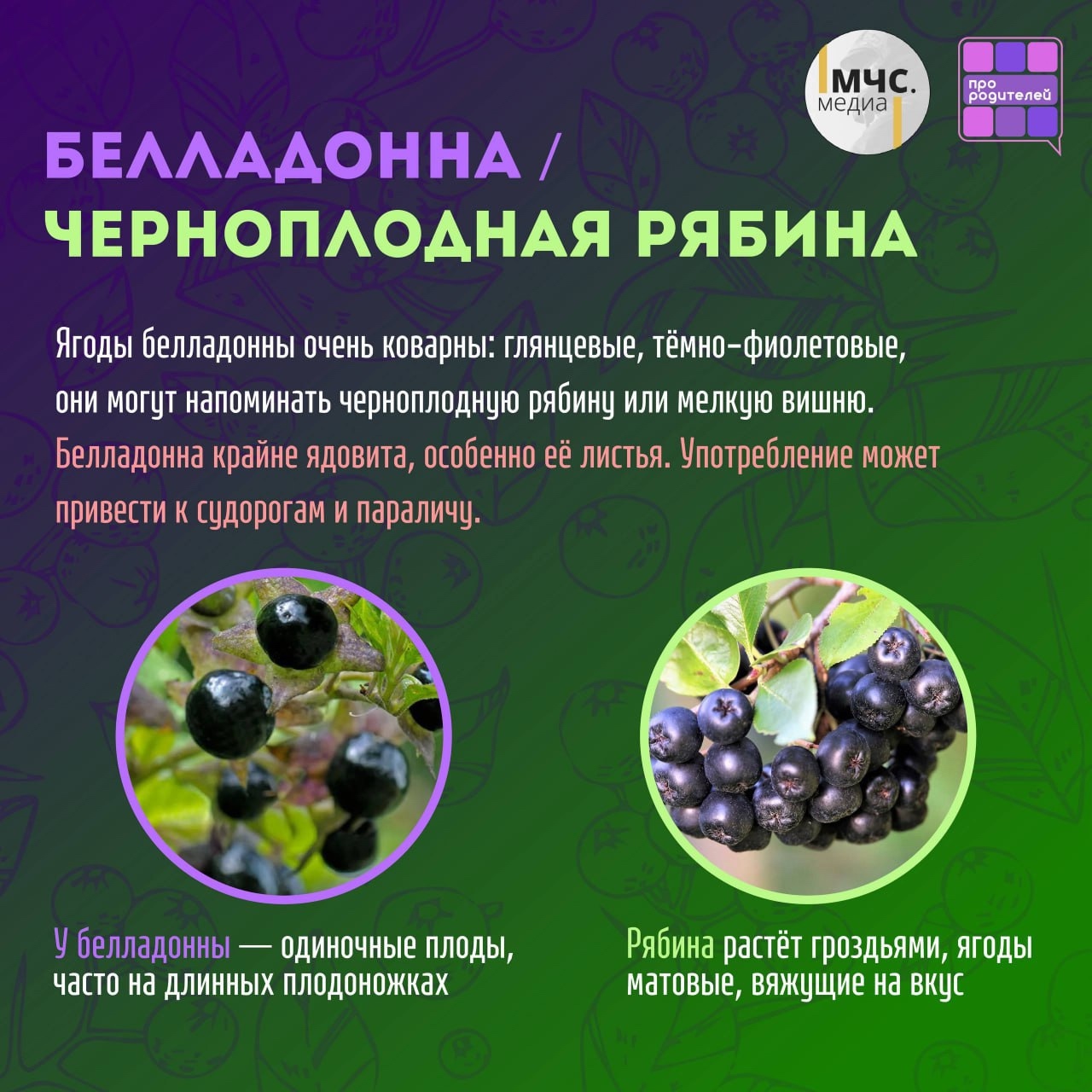Изображения.