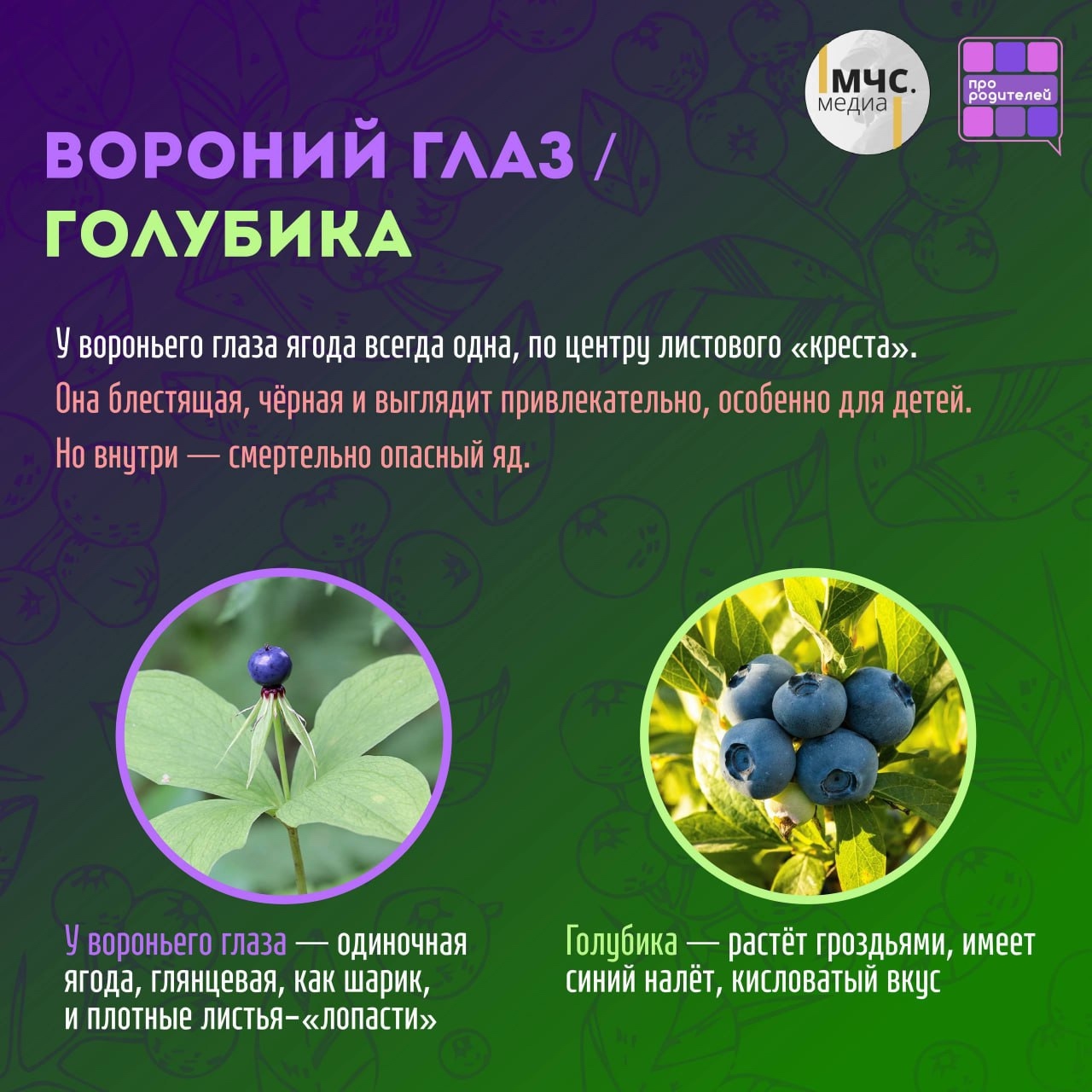 Изображения.
