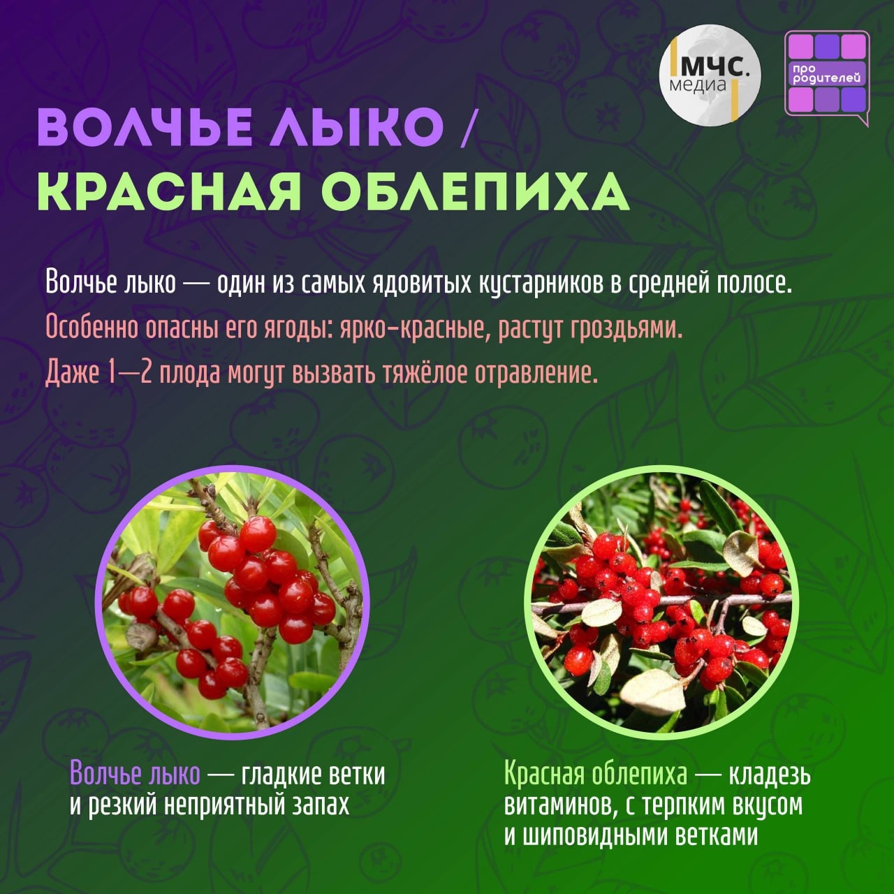 Изображения.