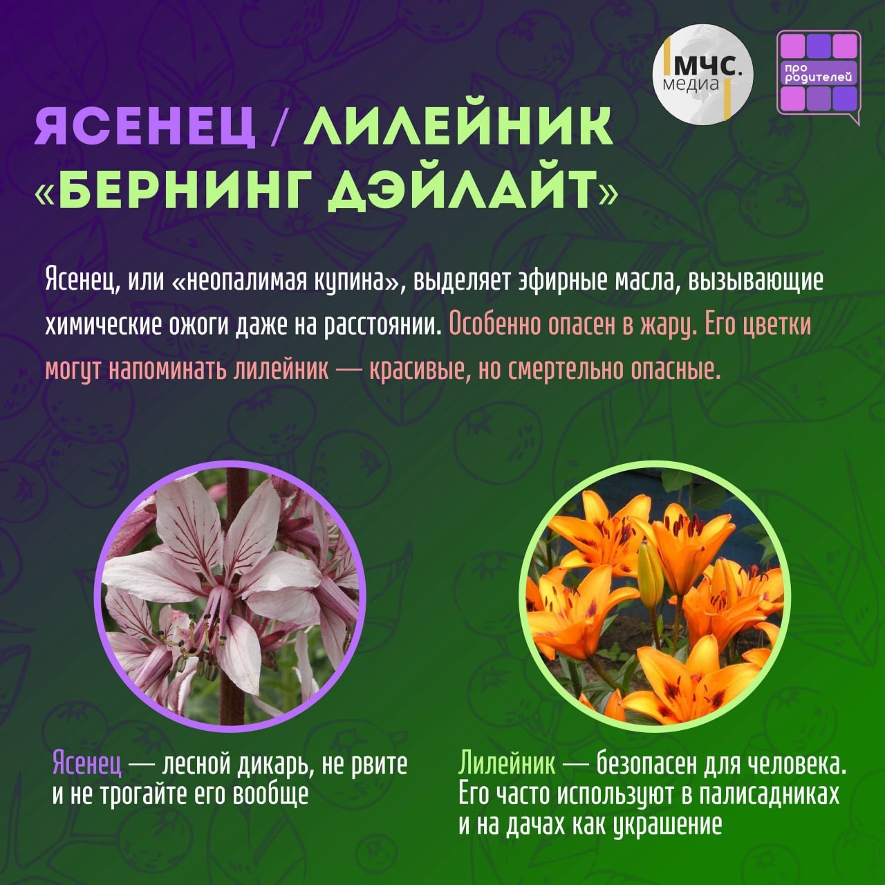 Изображения.