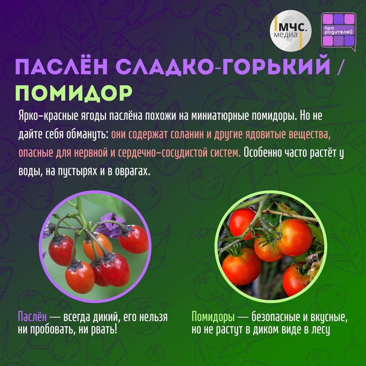 Изображения.