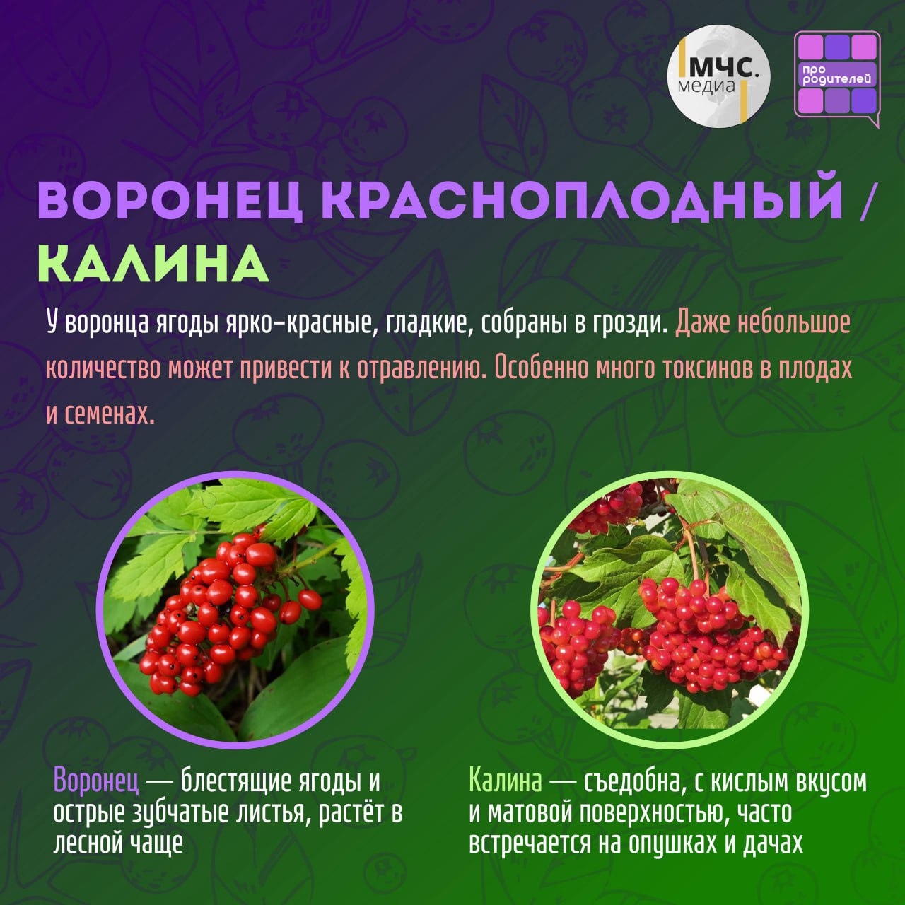 Изображения.